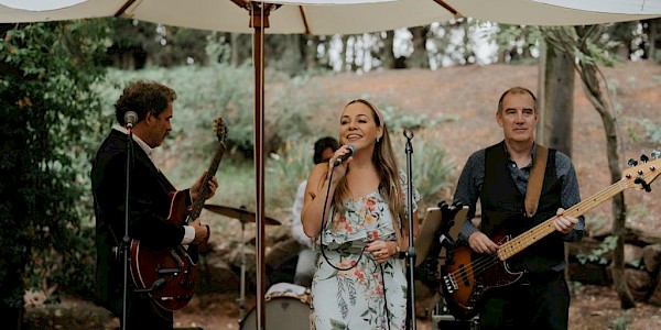 Virginia Vi Trio